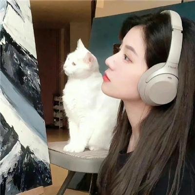 浪漫杀手